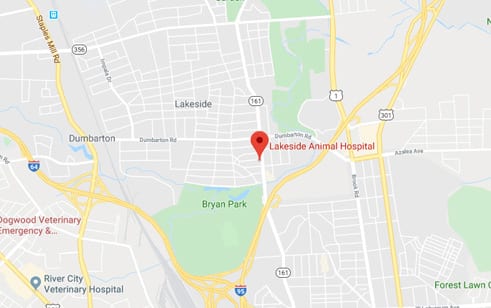 Lakeside Animal Hospital Location